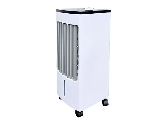 ASSET_MP_177161101 (1)